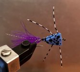 IMG_6724.jpeg