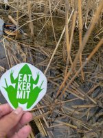 Eat Kermit.jpg Eat Kermit.jpg