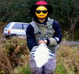 1781808445736.png