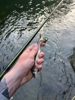 IMG_5876.jpeg