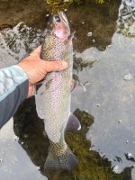 IMG_3102.jpeg
