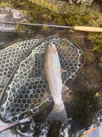 IMG_3062.jpeg