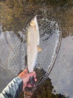 IMG_3084.jpeg