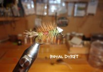 Royal Dyret.jpg