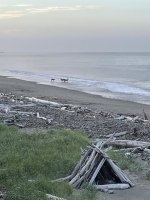 IMG_7647.jpeg IMG_7647.jpeg