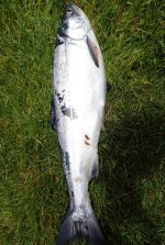 IMG_7279.jpeg