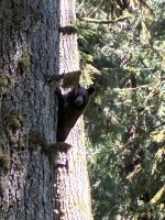 IMG_1068.jpeg