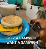 1782109140422.png