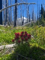 IMG_4998.jpeg IMG_4998.jpeg