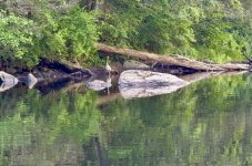 IMG_3163.jpeg