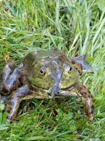 IMG_3420.jpeg