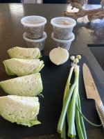 IMG_8336.jpeg
