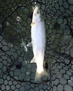 IMG_7325.jpeg