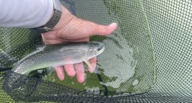 IMG_0060.jpeg