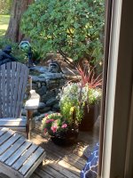 IMG_0745.jpeg