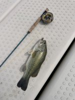 IMG_8679.jpeg