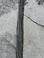 IMG_5978.jpeg IMG_5978.jpeg