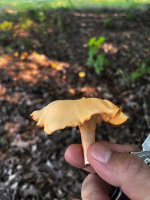 IMG_6891.jpeg IMG_6891.jpeg