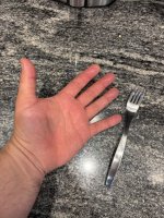 IMG_3195.jpeg