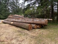 A06NeighborsLogPile2235.jpg A06NeighborsLogPile2235.jpg