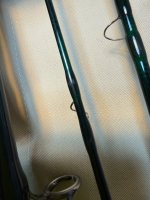 IMG_2176.jpeg