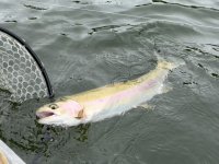 IMG_1072.jpeg IMG_1072.jpeg