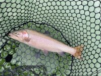 IMG_7680.jpeg IMG_7680.jpeg