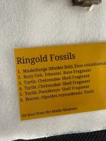 IMG_1480.jpeg