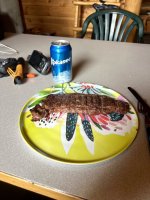 IMG_8393.jpeg IMG_8393.jpeg
