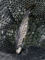 IMG_8422.jpeg IMG_8422.jpeg