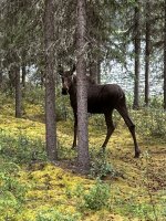 IMG_8440.jpeg IMG_8440.jpeg