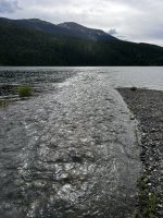 IMG_8431.jpeg IMG_8431.jpeg