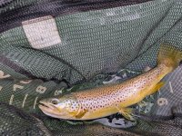 PXL_20260629_200709270.jpg