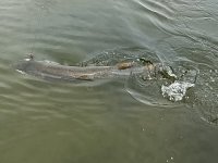 IMG_3425.jpeg IMG_3425.jpeg