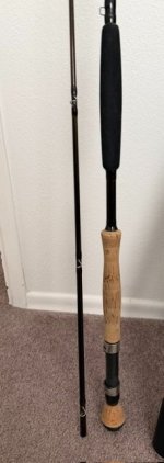 IMG_2599.jpeg