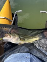 IMG_8737.jpeg