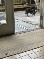 IMG_0113.jpeg