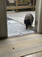 IMG_0111.jpeg