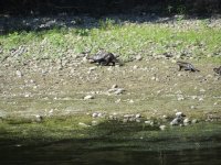 IMG_5982.JPG