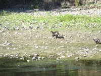 IMG_5981.JPG
