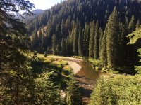IMG_3397.jpeg