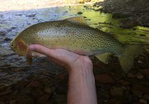 IMG_3132.jpeg
