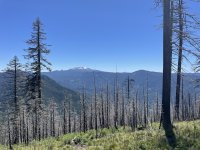 IMG_6093.jpeg IMG_6093.jpeg