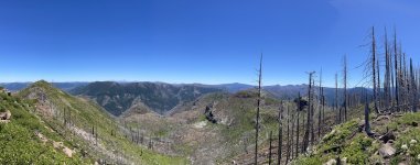 IMG_6089.jpeg IMG_6089.jpeg