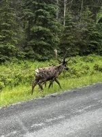 IMG_8569.jpeg