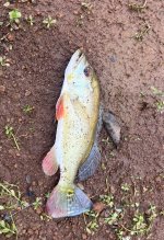 IMG_7851.jpeg