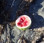 IMG_7415.jpeg