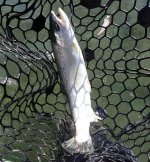 IMG_7416.jpeg IMG_7416.jpeg