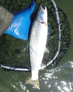 IMG_7422.jpeg IMG_7422.jpeg