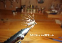 Grizzly Umbrella.jpg